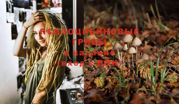 MESCALINE Елабуга