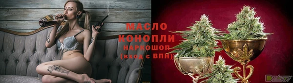apvp Ельня