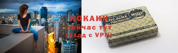 apvp Ельня