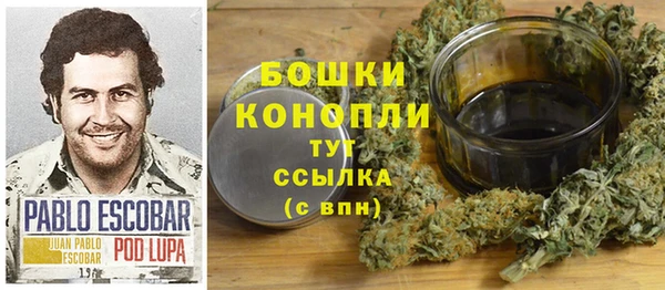 мдпв Елизово