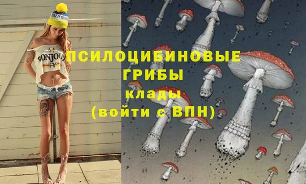 apvp Ельня