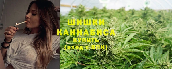 мдпв Елизово