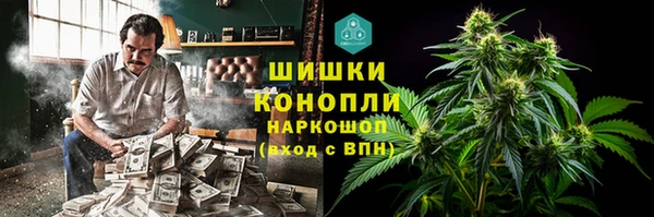 apvp Ельня