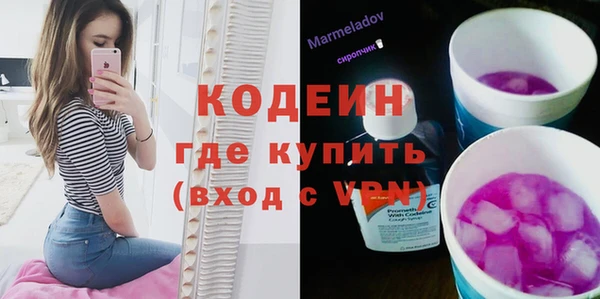 apvp Ельня
